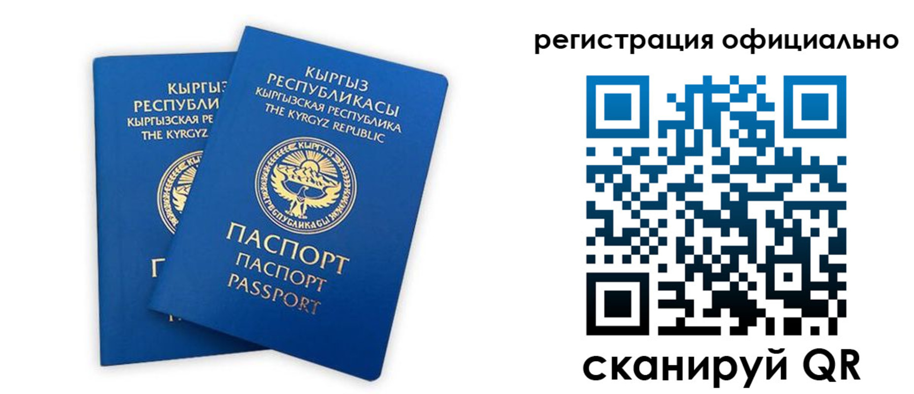 прописка поиск в Курчатове